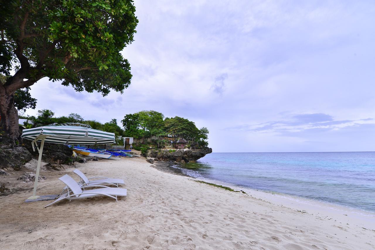 Anda Cove Beach Resort Extérieur photo